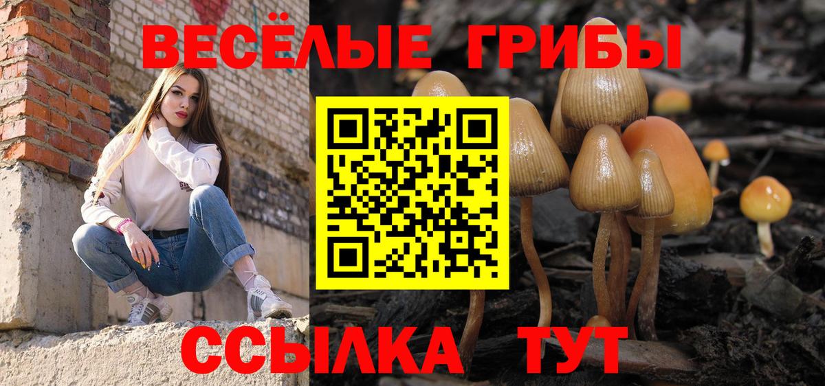 Псилоцибиновые грибы прущие грибы Усть-Кут