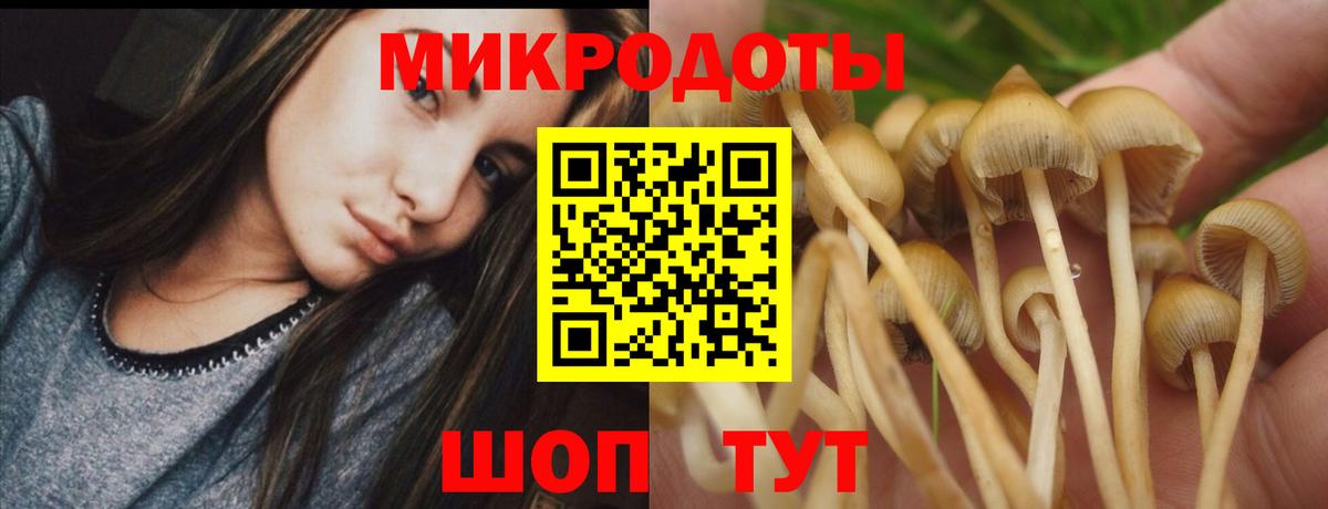 Псилоцибиновые грибы ЛСД  Вход с VPN  Усть-Кут 